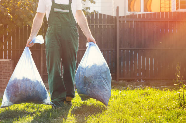 Best Shed Removal  in Marion, IA